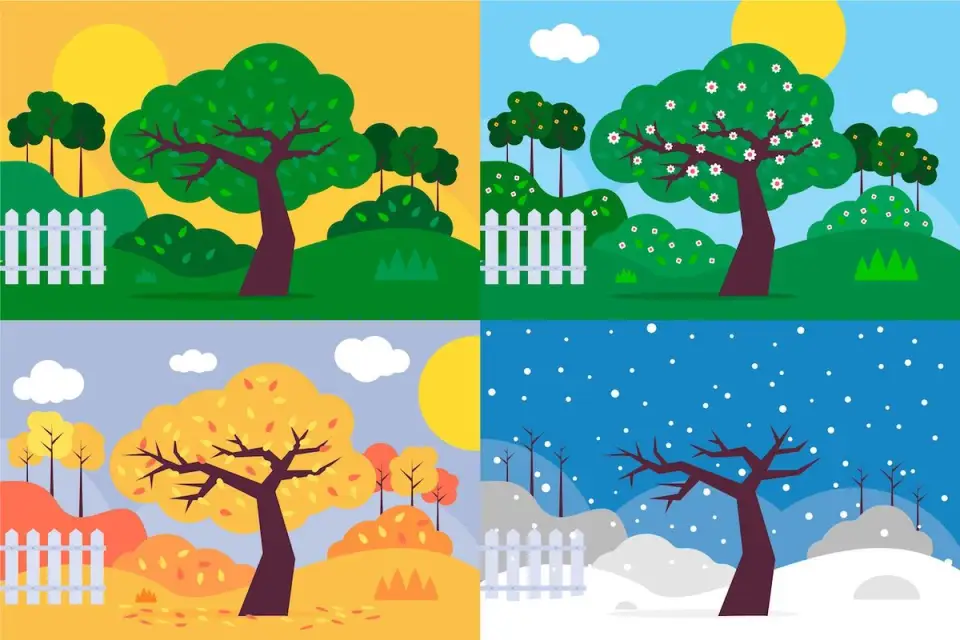 How to Organize Your Garden for Every Season