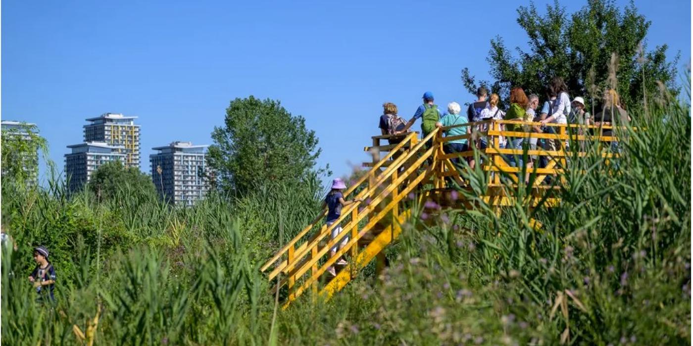 Proiectul „Vara Verde” și în acest weekend, în Parcul Văcărești din București, cu o serie de evenimente interesante pentru iubitorii de natură