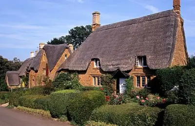Thatch Roofing: Everything You Need to Know