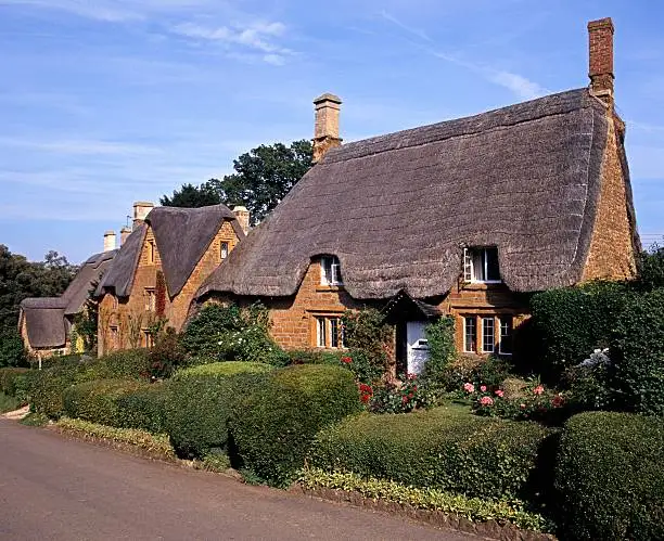 Thatch Roofing: Everything You Need to Know