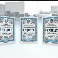 Românii pot cumpăra titluri de stat TEZAUR şi prin Ghişeul.ro