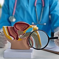 Faloplastia explicată simplu: cum funcționează și cui i se potrivește?