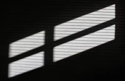 Jaluzele cu rulou: de ce să le alegi? Ghid practic