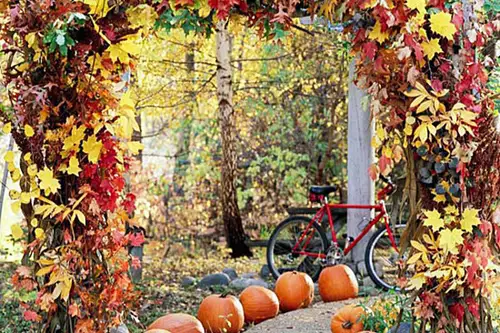 Idei pentru amenajarea gradinii toamna