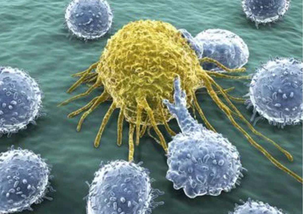 Unul dintre cei mai agresivi inamici ai corpului poate fi cancerul