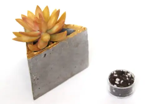 Cum sa iti faci ghivece de perete pentru casa