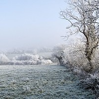 Prognoza meteo, 23 martie. Început de săptămână cu temperaturi scăzute. Ploi abundente în unele regiuni