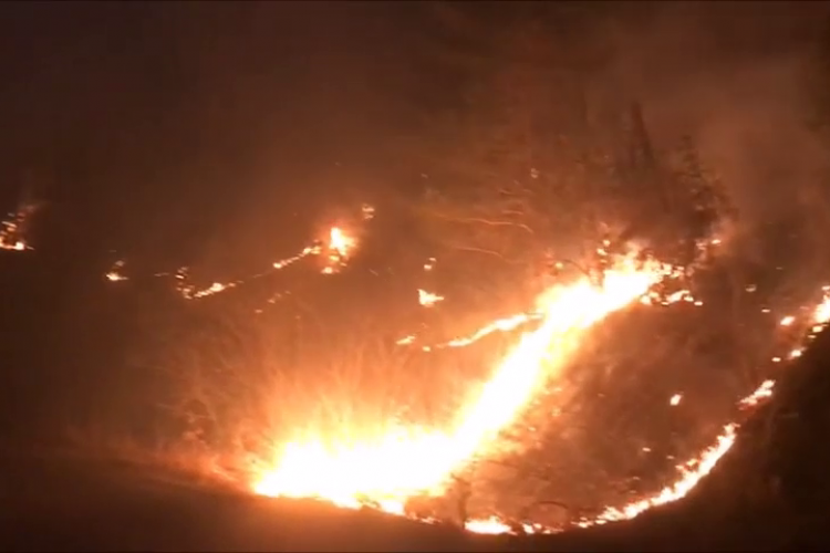 9 hectare de vegetație arse ca urmare a izbucnirii a două incendii în zona localității Micești