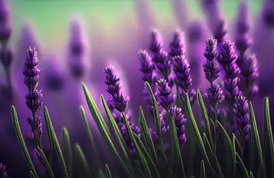 Plants That Repel Insects: A Natural Solution for Your Garden