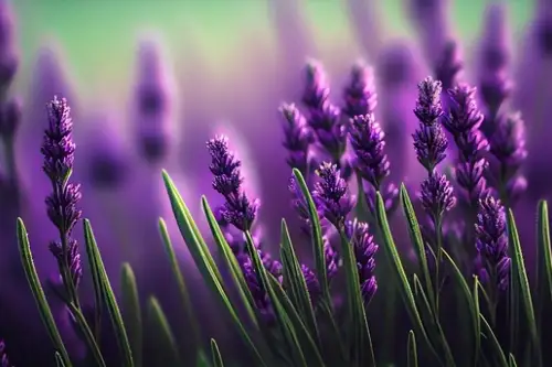 Plante care alungă insectele: o soluție naturală pentru grădina ta