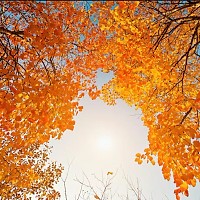 Prognoza meteo, 23 octombrie. Temperaturi de vară la final de lună. Ploile vor fi prezente doar în anumite regiuni