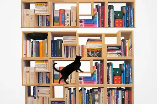 10 piese de mobiler pentru animalele de companie