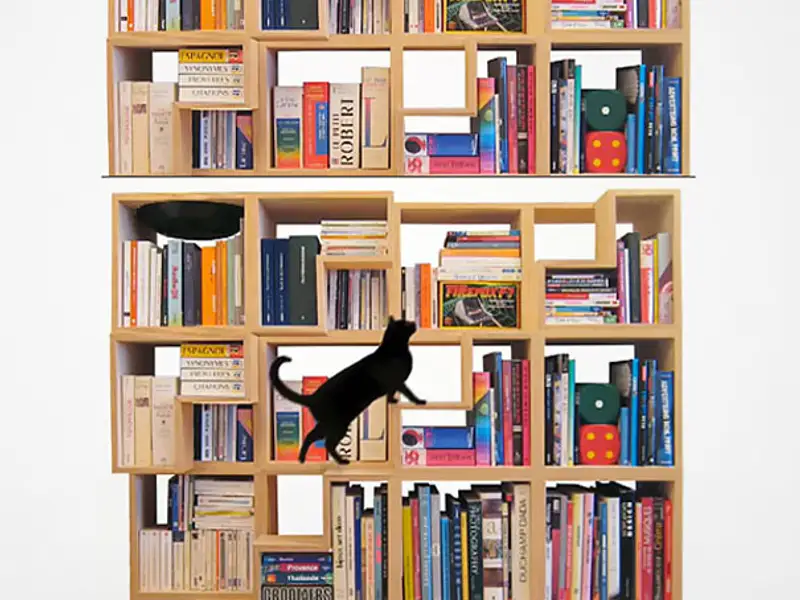 10 piese de mobiler pentru animalele de companie