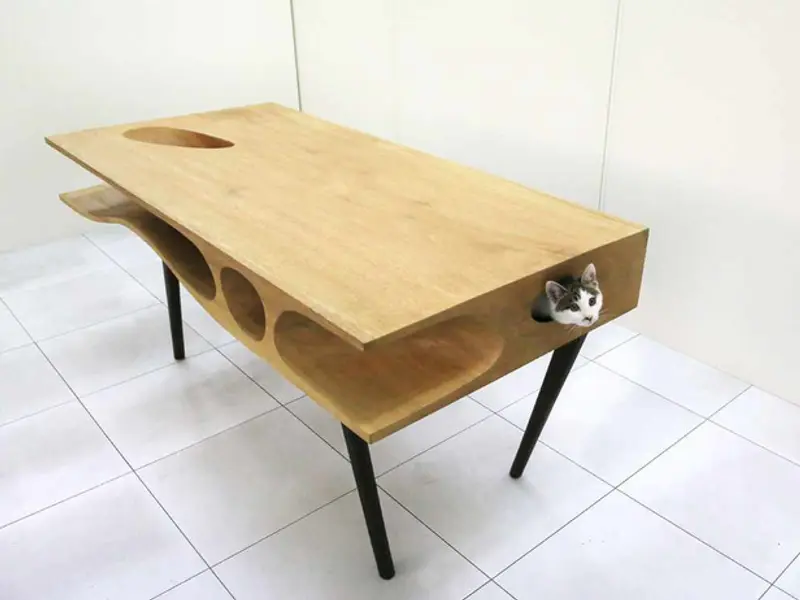 CATable sau PISImasa: Biroul care ii va ajuta sa lucreze pe cei care au pisica!