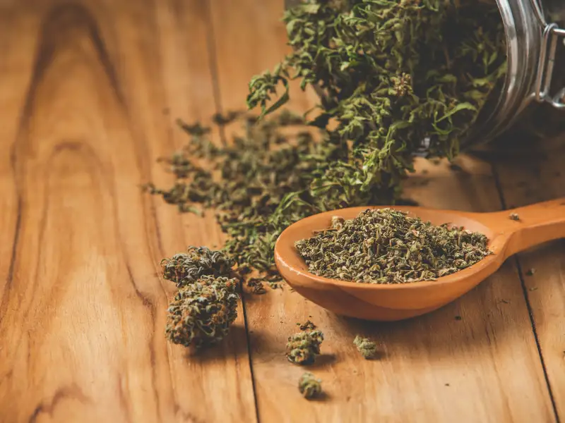 De la frunză la pungă: procesul de producție a tutunului vrac