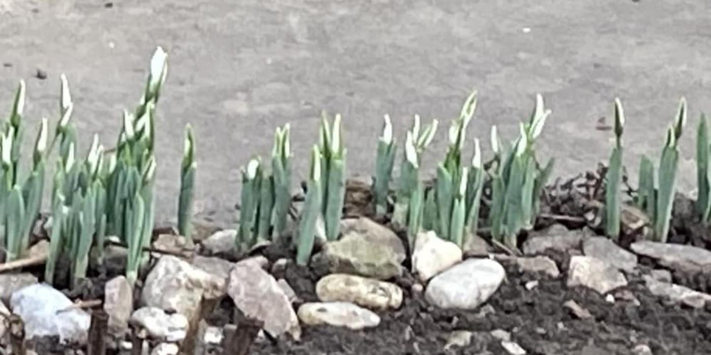 Prognoza meteo, 23 ianuarie. Temperaturi neobișnuit de ridicate pentru această perioadă