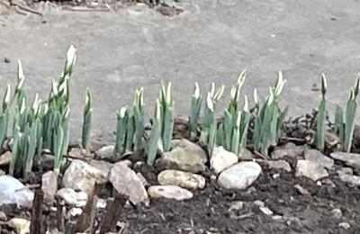 Prognoza meteo, 23 ianuarie. Temperaturi neobișnuit de ridicate pentru această perioadă