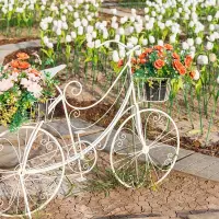 Top 8 obiecte de decor inedite pentru grădină