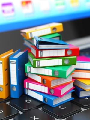 Majoritatea românilor vor ca interacțiunile cu statul să fie exclusiv online, fără deplasări la ghișeu