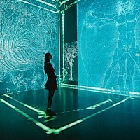 „Da Vinci – The Immersive Show”: Expoziția imersivă de la MINA București care te poartă în mintea unui geniu