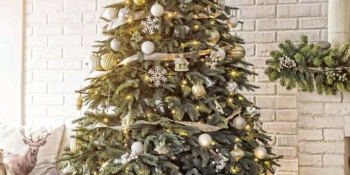 Patru modalități de a refolosi bradul de Crăciun