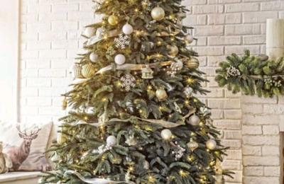 Patru modalități de a refolosi bradul de Crăciun