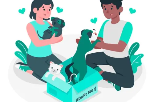 Cum să îți pregătești casa pentru un animal de companie nou: sfaturi utile pentru câini și pisici