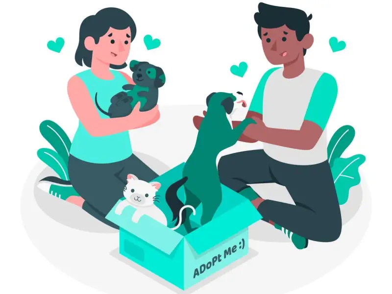 Cum să îți pregătești casa pentru un animal de companie nou: sfaturi utile pentru câini și pisici