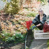 Sfaturi de Sezon pentru Întreținerea Grădinii pe Timp de Iarnă