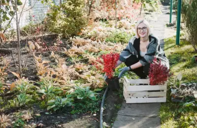 Sfaturi de Sezon pentru Întreținerea Grădinii pe Timp de Iarnă