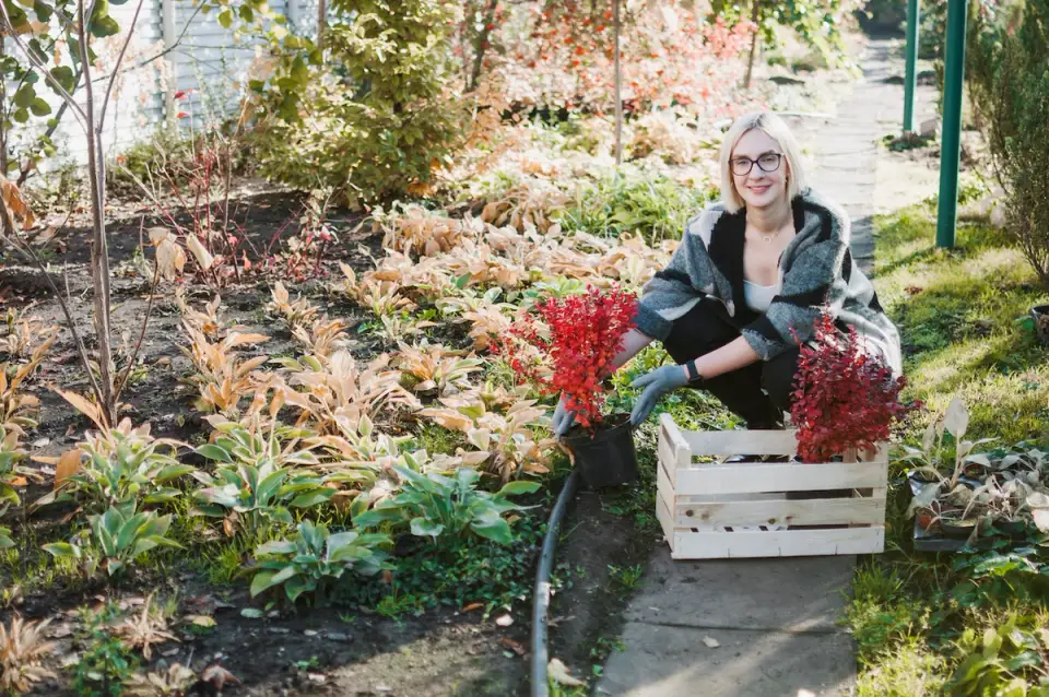 Seasonal Tips for Winter Garden Maintenance