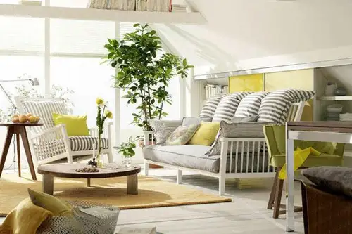 6 plante care aduc energie pozitiva si iti purifica intreaga casa