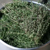 Cimbrul – gust si aroma pentru bucatarie