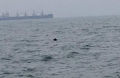 Incendiu produs la o navă aflată în zona de ancoraj numărul 1 a Portului Constanţa / Focul a izbucnit în zona spaţiilor de locuit