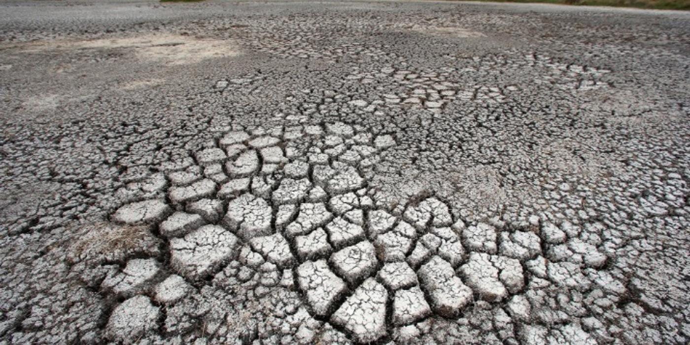 Comisia Europeană propune un sprijin financiar de 33,9 milioane euro din Fondul de solidaritate al UE pentru a oferi asistenţă României în urma daunelor cauzate de seceta severă de anul trecut