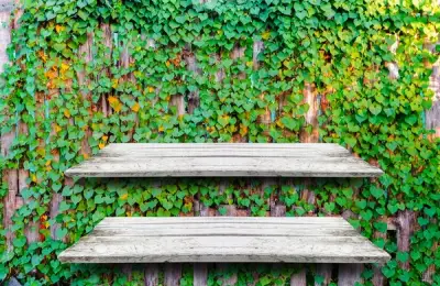 Clever Storage Solutions for Your Yard