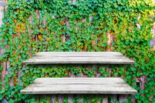 Soluții de depozitare ingenioase în curte