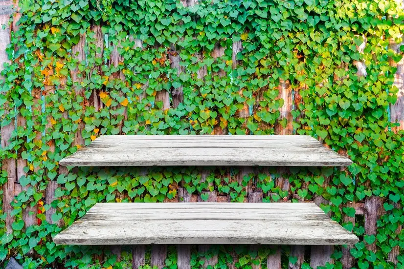 Soluții de depozitare ingenioase în curte