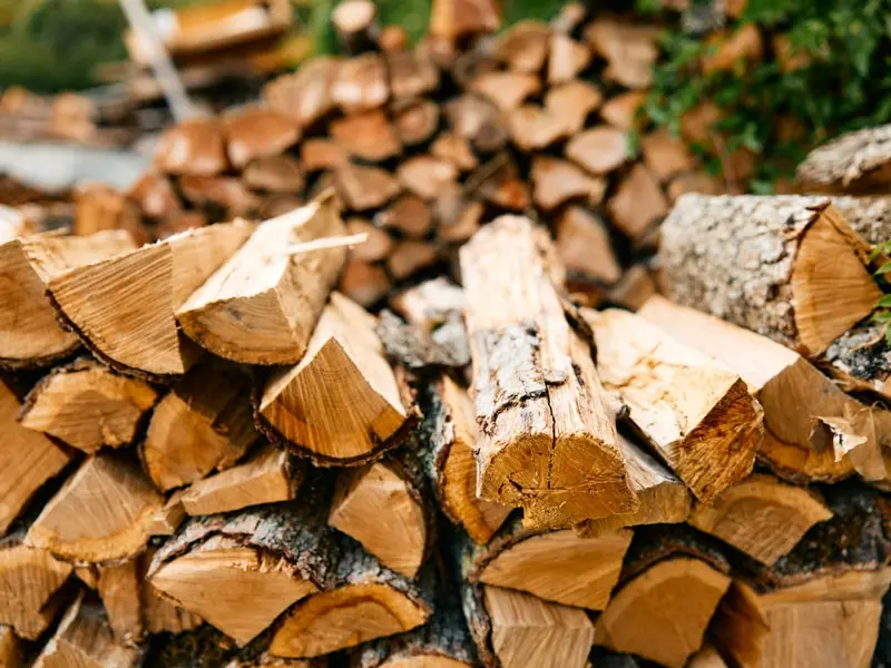 De ce lemnul de fag este preferat pentru foc constant și ardere curată