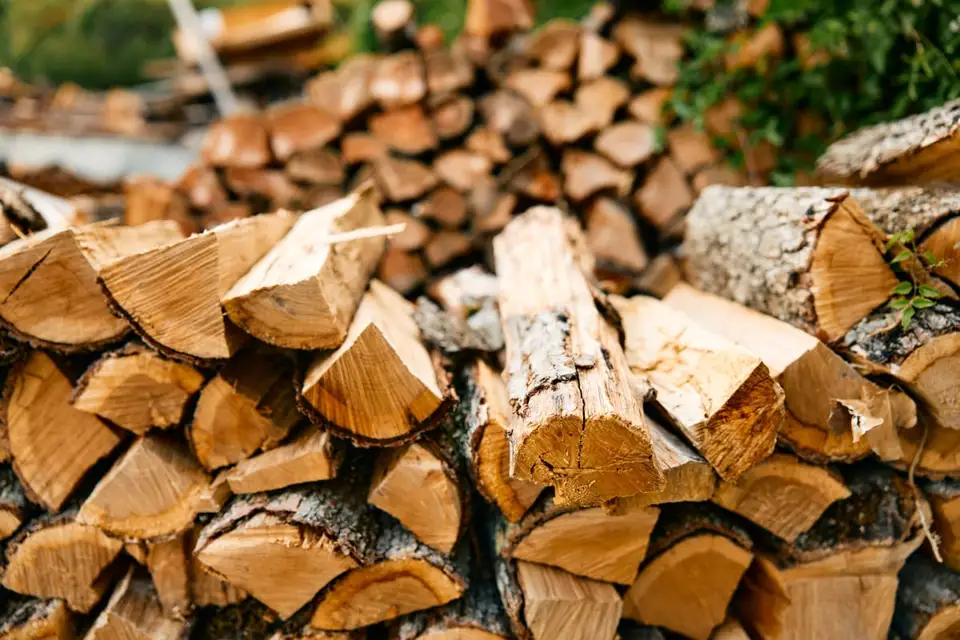 Why Beechwood is Preferred for Consistent Fire and Clean Burning