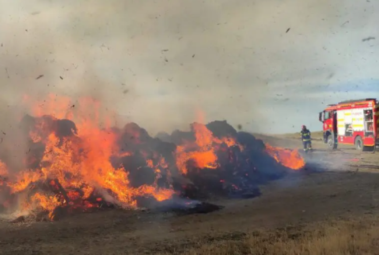 Incendiu de vegetație, marți, în comuna clujeană Bolduț