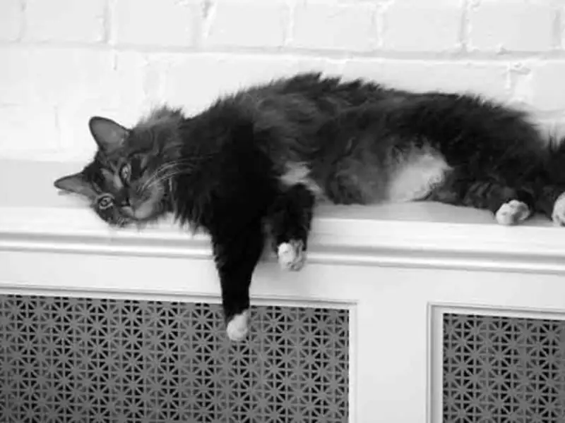 Mastile, solutia pentru integrarea in decor a caloriferelor