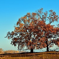 Val de frig peste România. Prognoza meteo pentru următoarele patru săptămâni