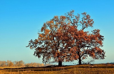 Val de frig peste România. Prognoza meteo pentru următoarele patru săptămâni