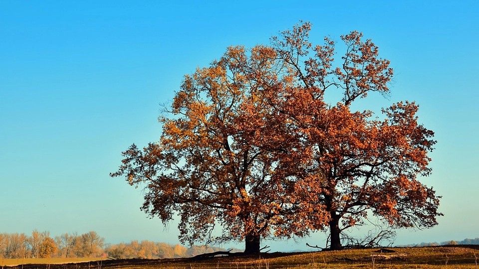Val de frig peste România. Prognoza meteo pentru următoarele patru săptămâni