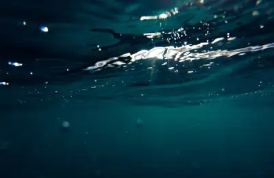 Ce este, cum functioneaza si cum alegi o pompa submersibila?