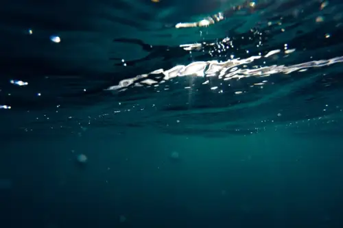 Ce este, cum functioneaza si cum alegi o pompa submersibila?