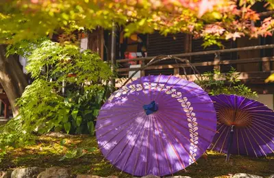 Top 5 DIY Umbrellas, Perfect for Summer Use in the Yard
