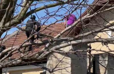 Noi detalii ies la iveală despre cazul americanului din Cluj care și-a sechestrat soția