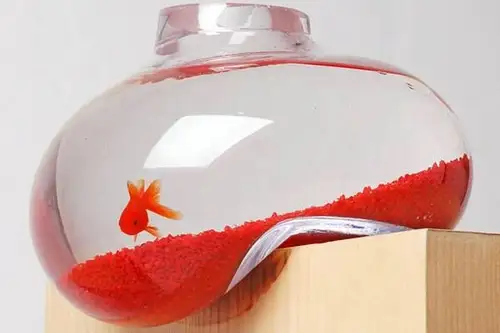 Acvariul, oaza de relaxare